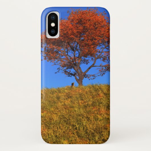 Duidelijke Autumn Day iPhone Case-Mate Case (Achterkant)