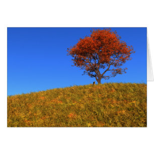 Duidelijke Autumn Day Kaart