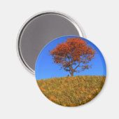 Duidelijke Autumn Day Magnet (Voorkant / Achterkant)