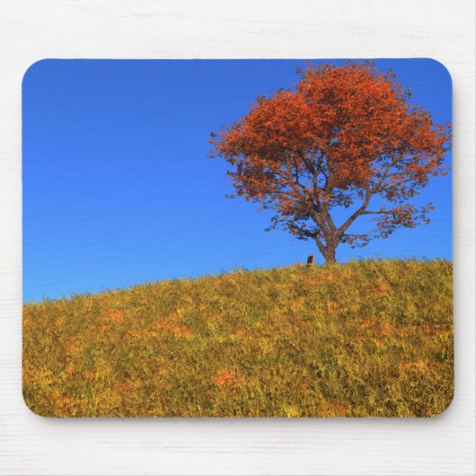 Duidelijke Autumn Day Mousepad Muismat (Voorkant)