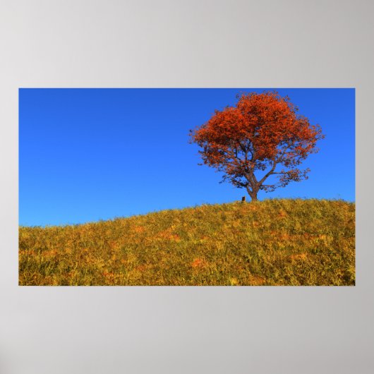 Duidelijke Autumn Day Print (Voorkant)