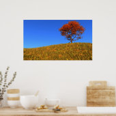 Duidelijke Autumn Day Print (Keuken)