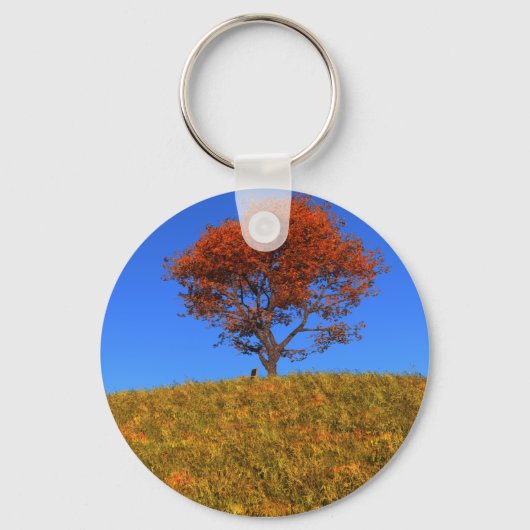 Duidelijke Autumn Day Sleutelhanger (Voorkant)