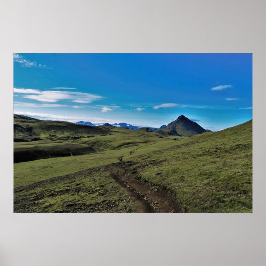Duidelijke dag op de Laugavegur Poster (Voorkant)