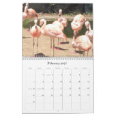 Duidelijke dieren kalender (Feb 2027)