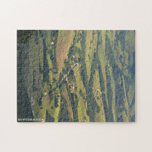 Duidelijke groene relaxpuzzel legpuzzel (Horizontaal)