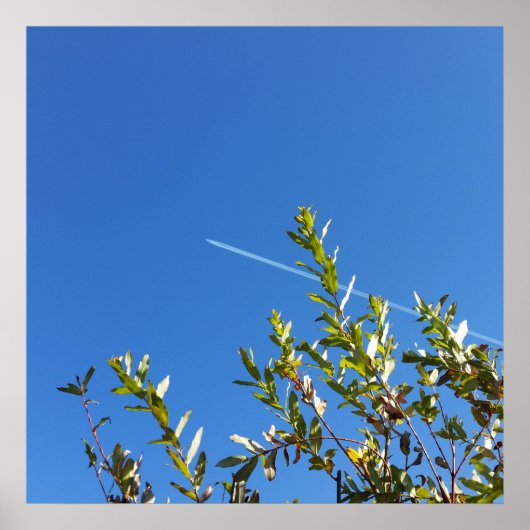 duidelijke hemel poster (Voorkant)