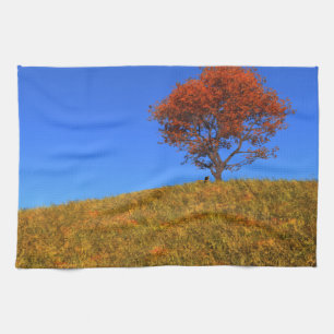 Duidelijke herfst-dag keukenhanddoeken