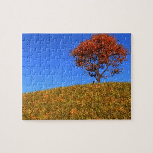 Duidelijke herfst-dag Puzzle Legpuzzel (Horizontaal)