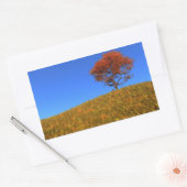 Duidelijke herfst-dag stickers (Envelop)
