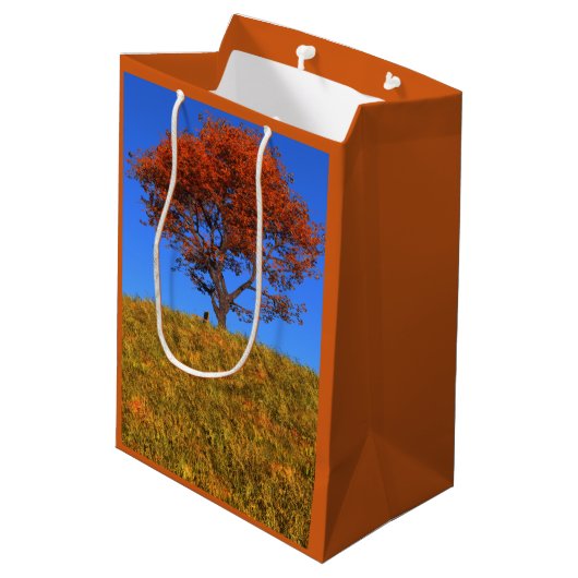 Duidelijke herfst Day Gift Bag Medium Cadeauzakje (Achterkant Gekanteld)