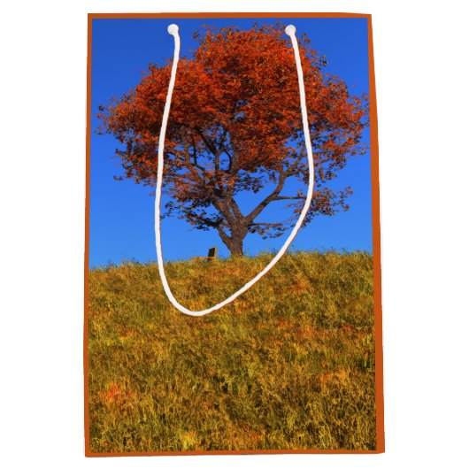 Duidelijke herfst Day Gift Bag Medium Cadeauzakje (Voorkant)