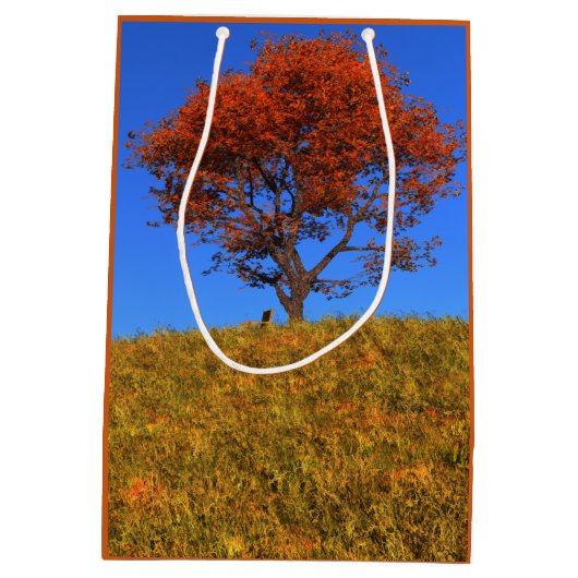 Duidelijke herfst Day Gift Bag Medium Cadeauzakje (Achterkant)