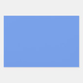 Duidelijke Lichte Hemel Bloem Blauwe tinten 3 tone Inpakpapier Vel (Voorkant 3)