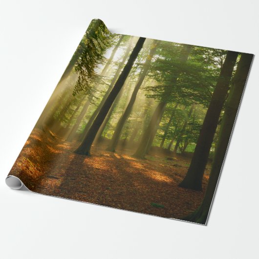 Duidelijke lichtstralen door het bos in cadeaupapier (Uitgerold)