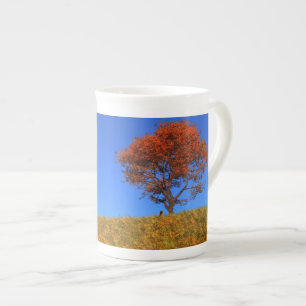Duidelijke Mok van de Specialiteit van de herfst D