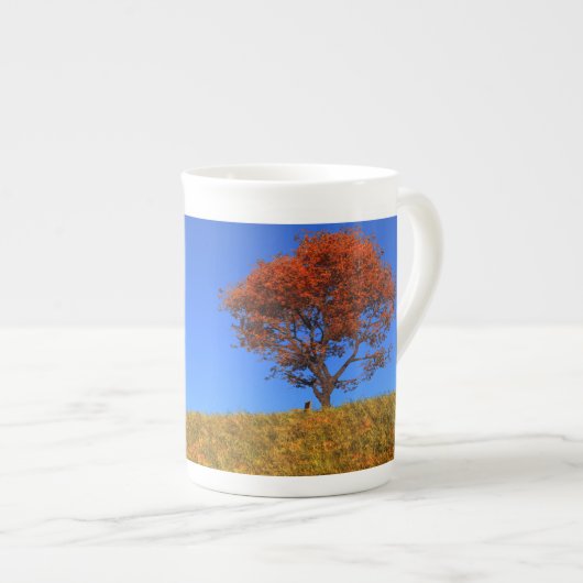 Duidelijke Mok van de Specialiteit van de herfst D (Voorkant rechts)