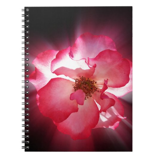 duidelijke rode bladen notitieboek (Voorkant)