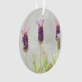 duidelijke sjabloon ornament (voorkant)