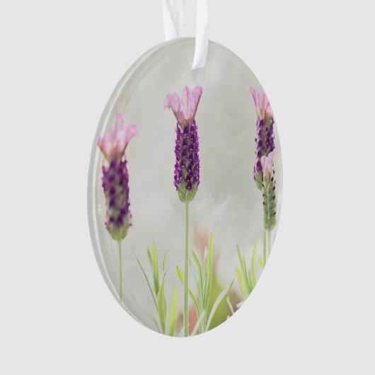 duidelijke sjabloon ornament (voorkant)