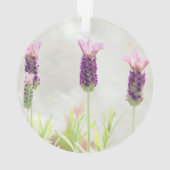 duidelijke sjabloon ornament (achterkant)