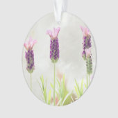 duidelijke sjabloon ornament (voorkant)