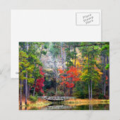 Duidelijke Springs - Homochitto National Forest Briefkaart (Voorkant / Achterkant)