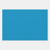 Duidelijke True Dark Slate Blue Shades 3 Tones Inpakpapier Vel (Voorkant)