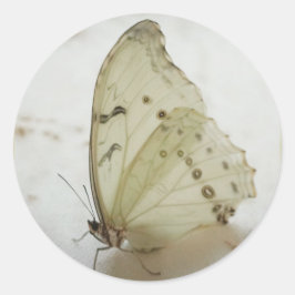 Duidelijke Vlinderverbinding/Etiket/Stickers Ronde Sticker