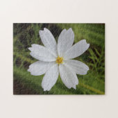 Duidelijke Witte Schoonheid Legpuzzel (Horizontaal)