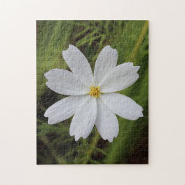 Duidelijke Witte Schoonheid Legpuzzel