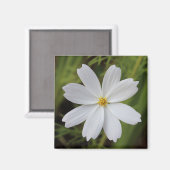 Duidelijke Witte Schoonheid Magneet (Voorkant / Achterkant)