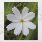 Duidelijke Witte Schoonheid Wijn Etiket (Enkel label)