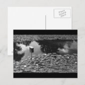 Duidelijkheid Briefkaart (Voorkant / Achterkant)