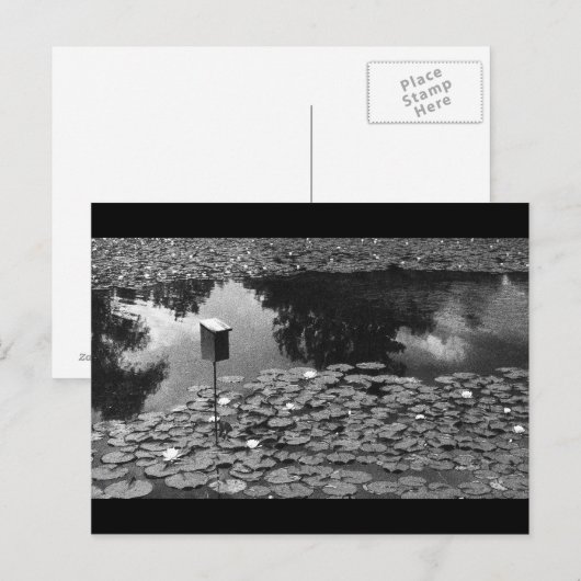 Duidelijkheid Briefkaart (Voorkant / Achterkant)