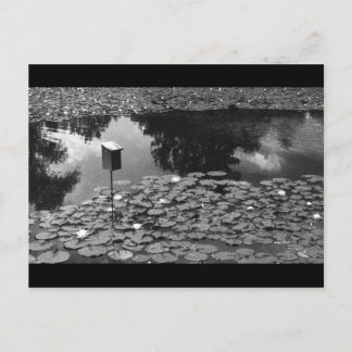 Duidelijkheid Briefkaart