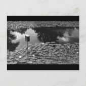 Duidelijkheid Briefkaart (Voorkant)