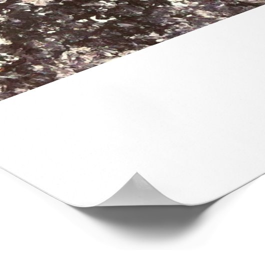 "Duidelijkheid" Poster (Hoek)