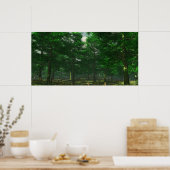 Duidelijkheid van de natuur - Extreme Poster (Keuken)