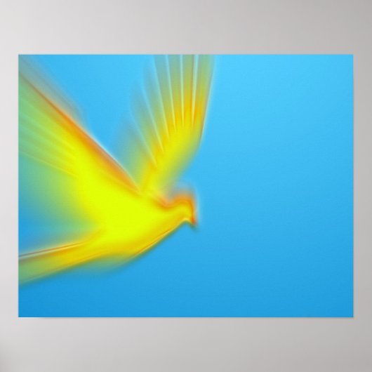 duif 03 poster (Voorkant)