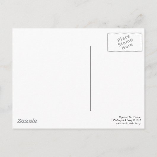 Duif bij het Window Briefkaart (Achterkant)
