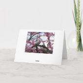 Duif & Bloesems Redbud Kaart (Achterkant)