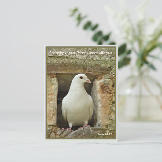 duif briefkaart (Staand voorkant)