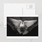 duif briefkaart (Voorkant / Achterkant)