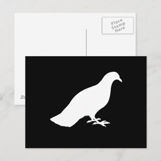 duif briefkaart (Voorkant / Achterkant)