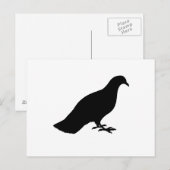 duif briefkaart (Voorkant / Achterkant)