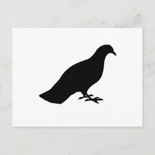duif briefkaart
