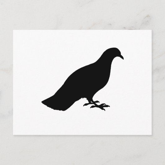 duif briefkaart (Voorkant)