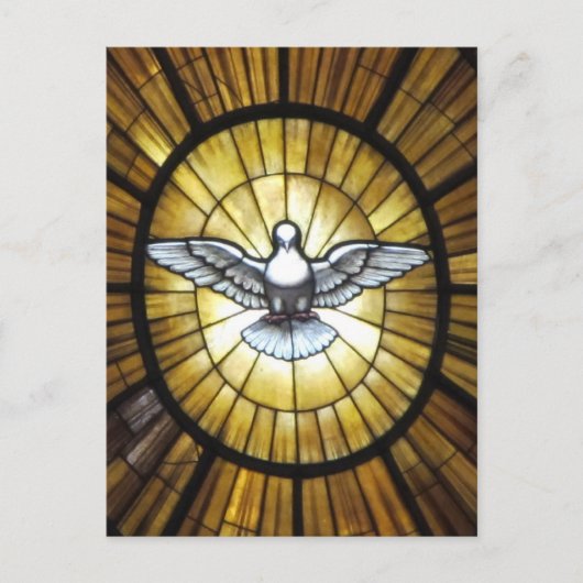 duif briefkaart (Voorkant)