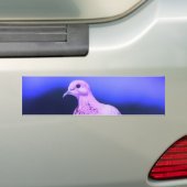 duif bumpersticker (Op auto)